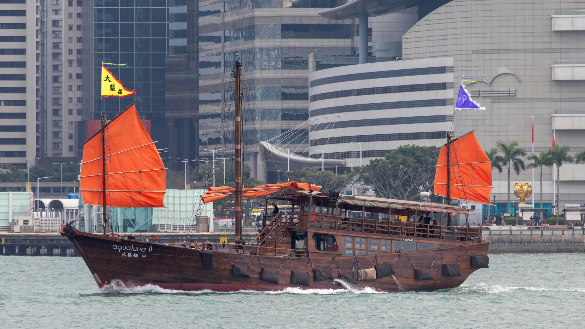 Hong Kong Activities