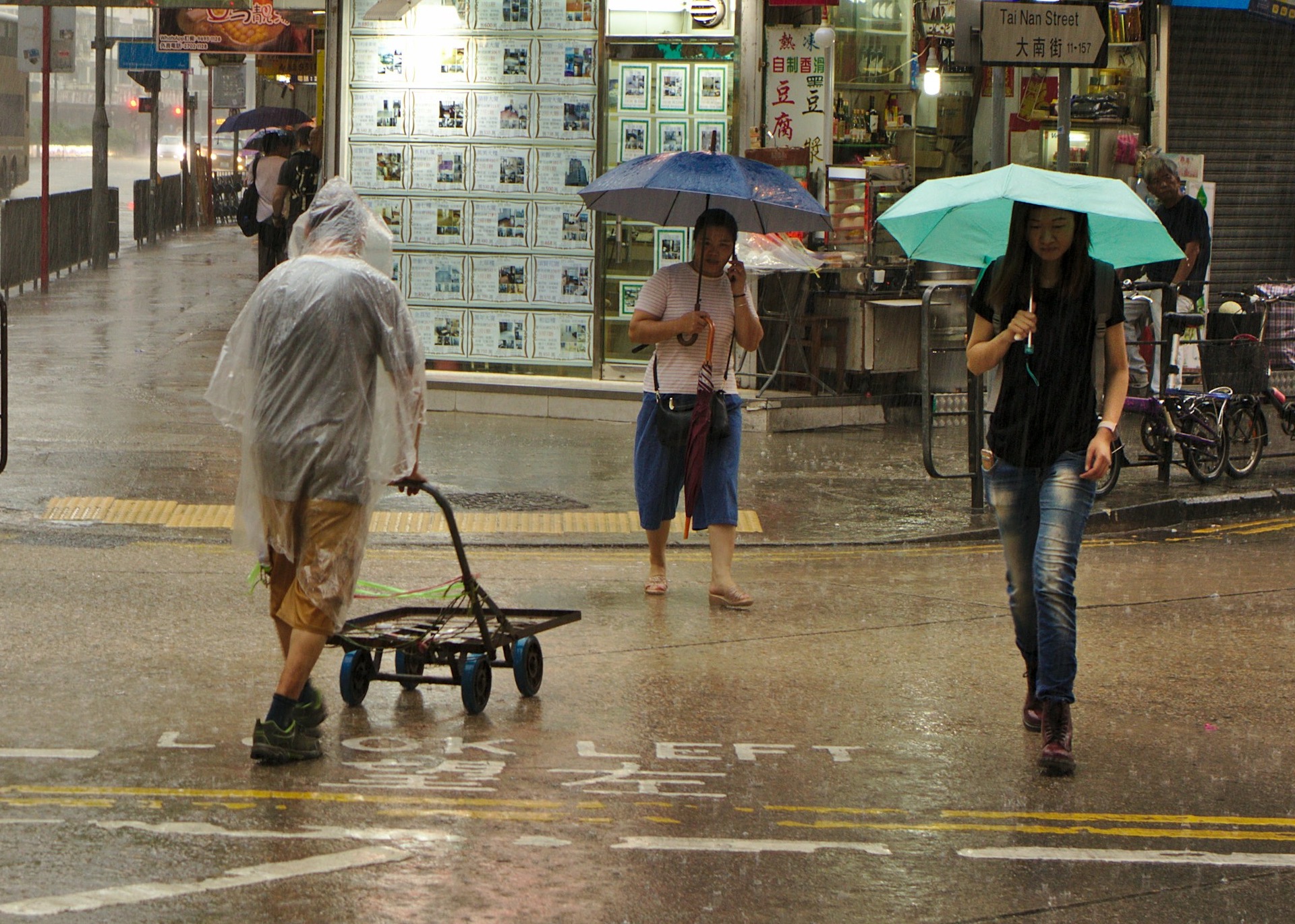 Hong Kong Typhoon Weather